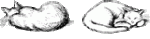 Sleeping_Cats